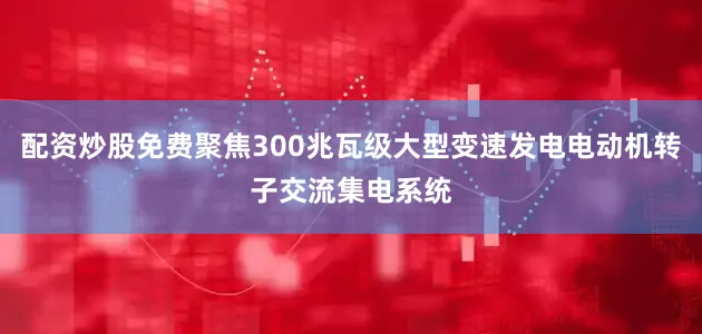 配资炒股免费聚焦300兆瓦级大型变速发电电动机转子交流集电系统
