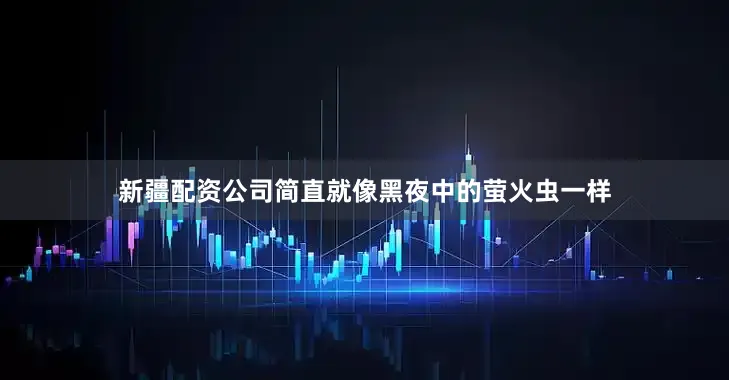 新疆配资公司简直就像黑夜中的萤火虫一样