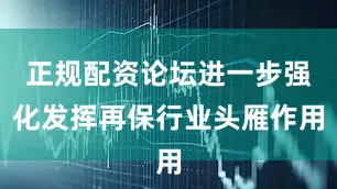 正规配资论坛进一步强化发挥再保行业头雁作用