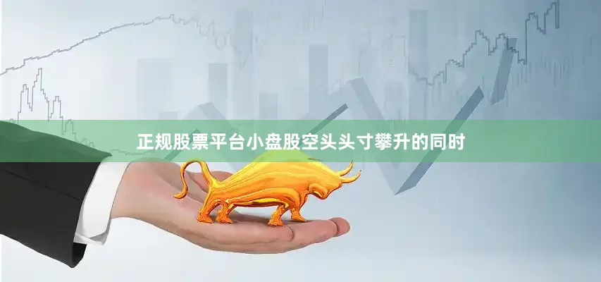正规股票平台小盘股空头头寸攀升的同时