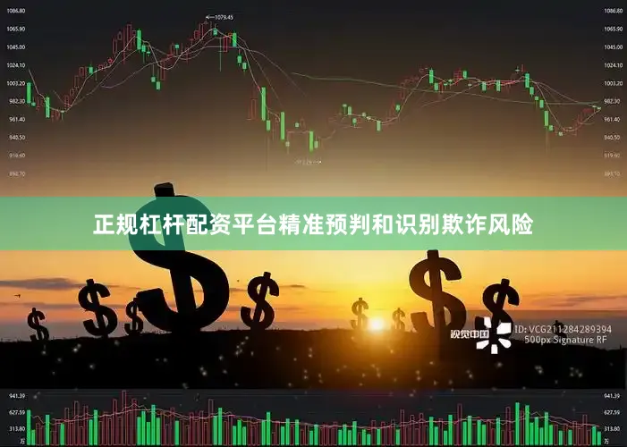 正规杠杆配资平台精准预判和识别欺诈风险