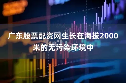 广东股票配资网生长在海拔2000米的无污染环境中